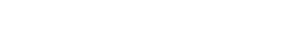 logo dutsiland